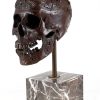 Alfred Stevens Contemporary Art - Bronze Ritual Skull - Stevens Signed Contemporary Art