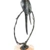 Miguel Fernando Lopez (Milo) Limited Animal Sculpture - Pa(I)Rrot - Signed Milo Bronze Statue Animal Sculptures